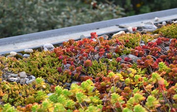 the cost of Hebburn Colliery green roof installation